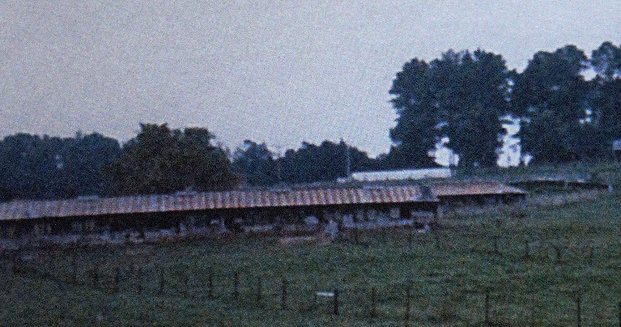 Chicken coop